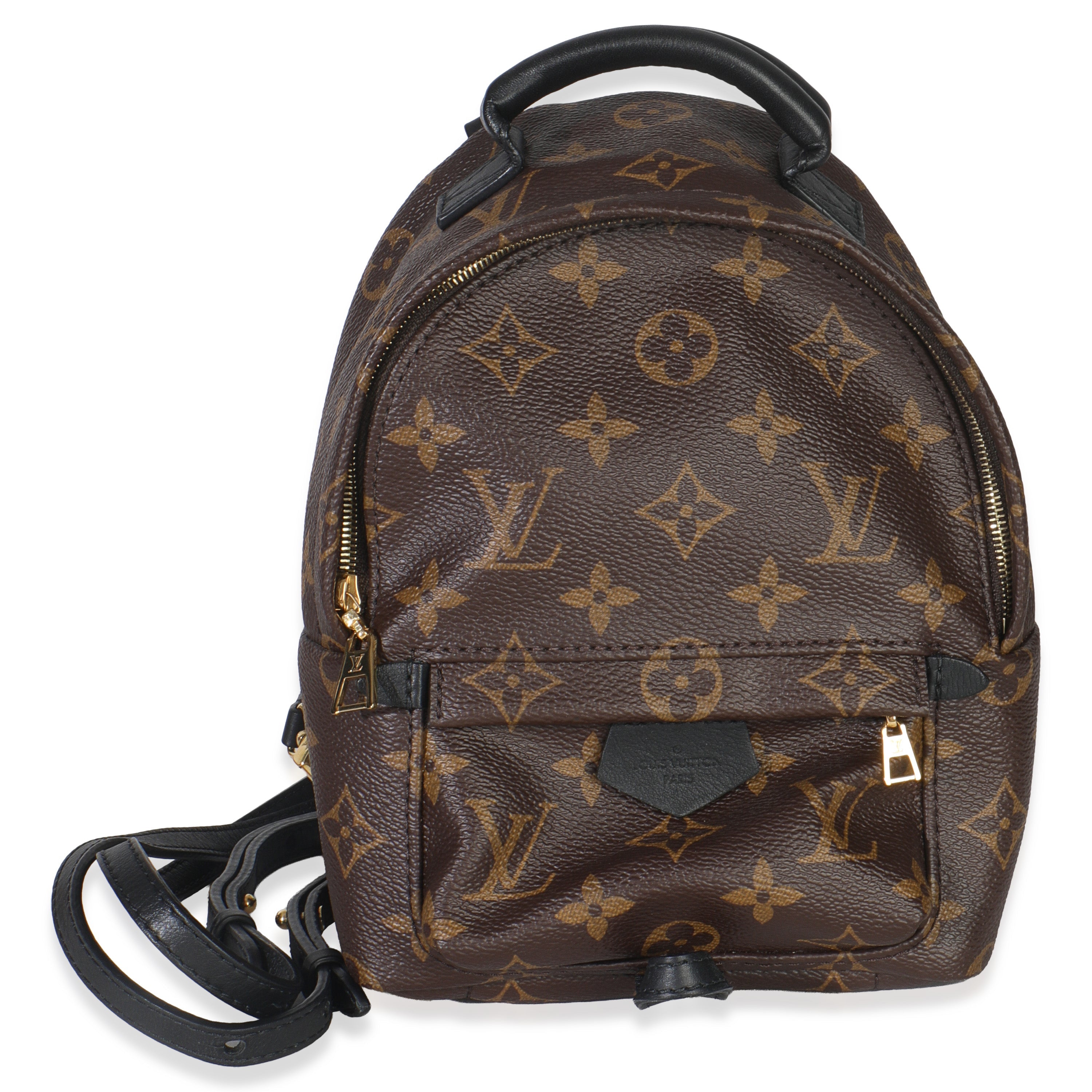 Louis Vuitton Monogram Canvas Mini Palm Springs