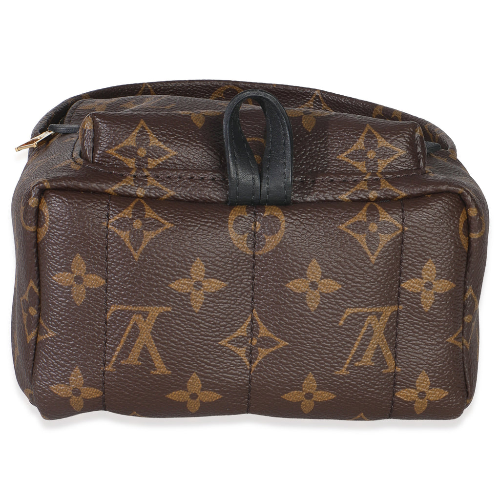 Louis Vuitton Monogram Canvas Mini Palm Springs