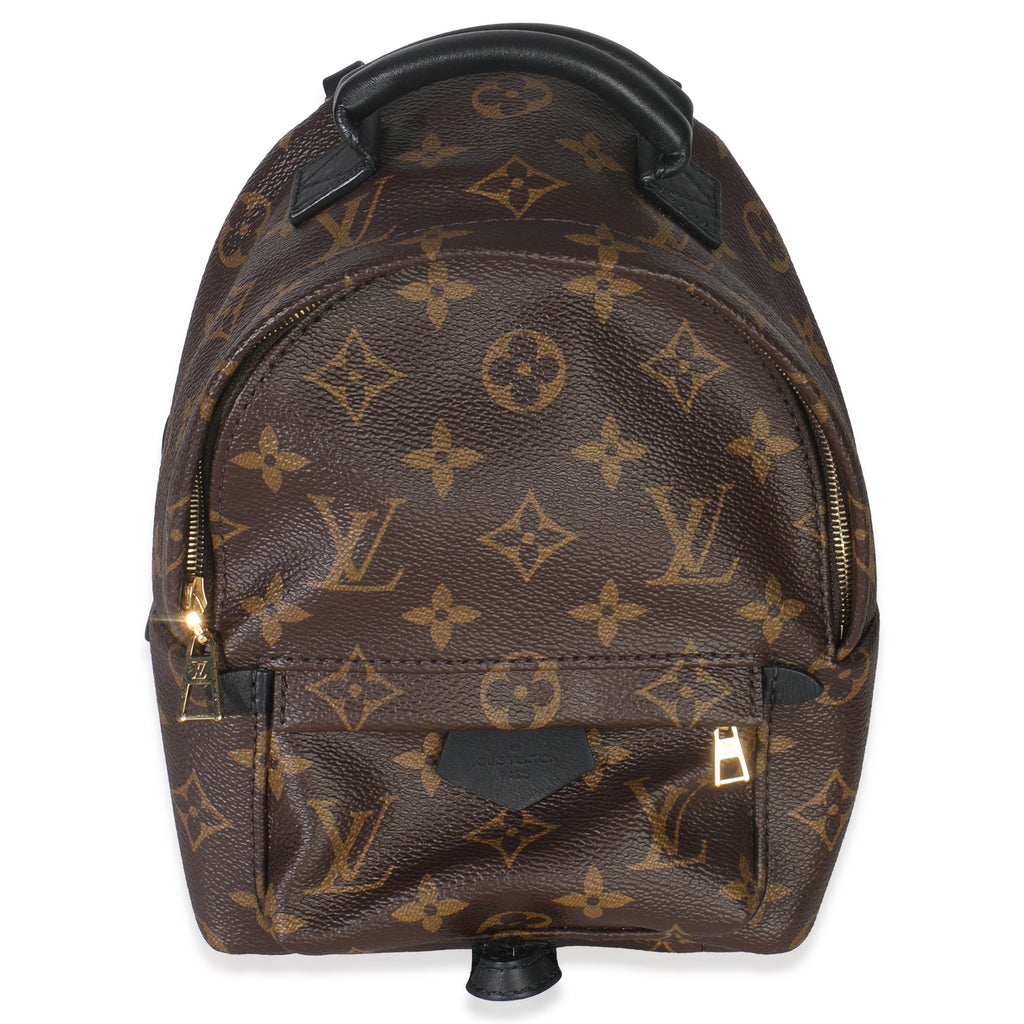 Louis Vuitton Monogram Canvas Mini Palm Springs