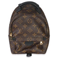 Louis Vuitton Monogram Canvas Mini Palm Springs