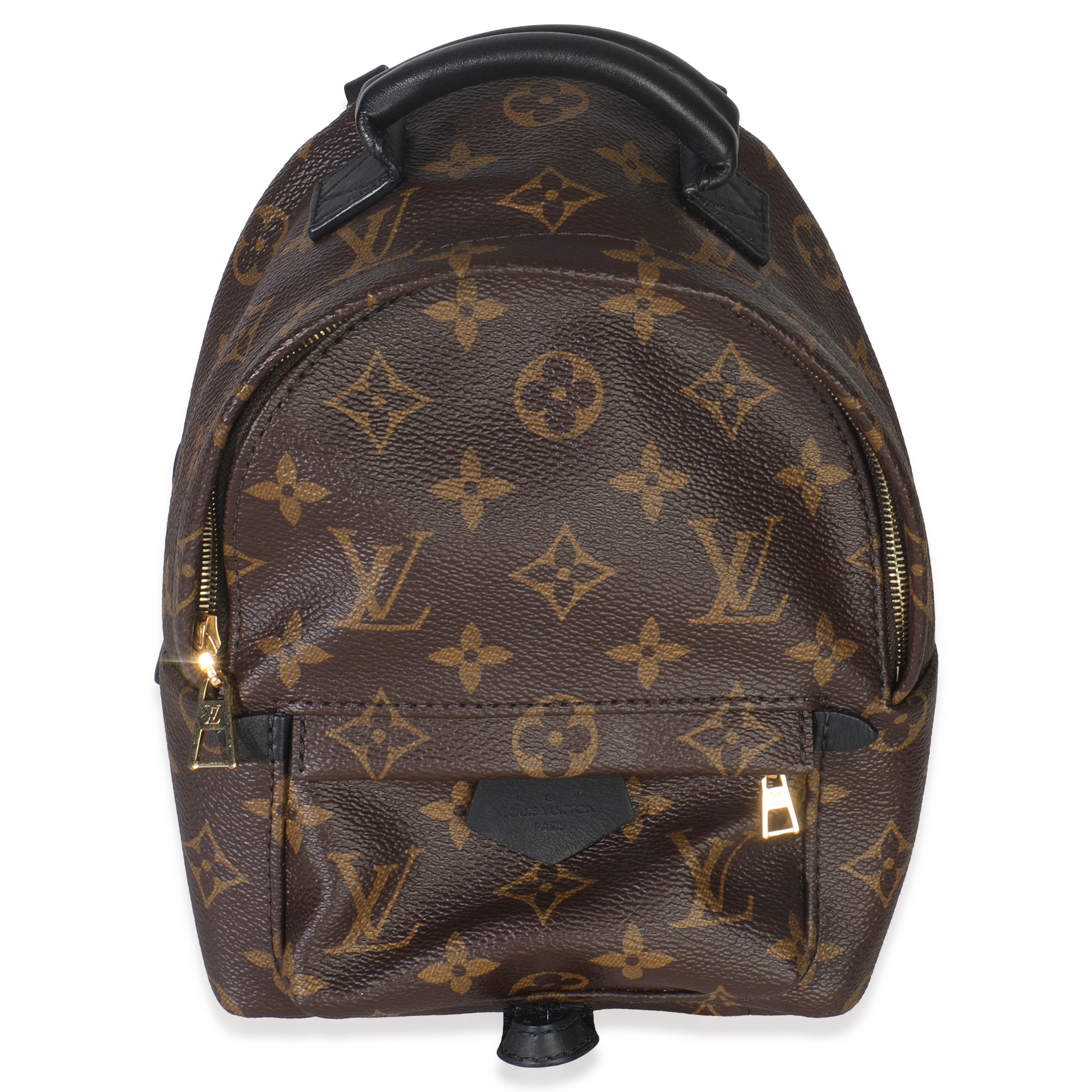 Louis Vuitton Monogram Canvas Mini Palm Springs