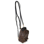 Louis Vuitton Monogram Canvas Mini Palm Springs