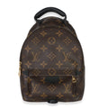 Louis Vuitton Monogram Canvas Mini Palm Springs