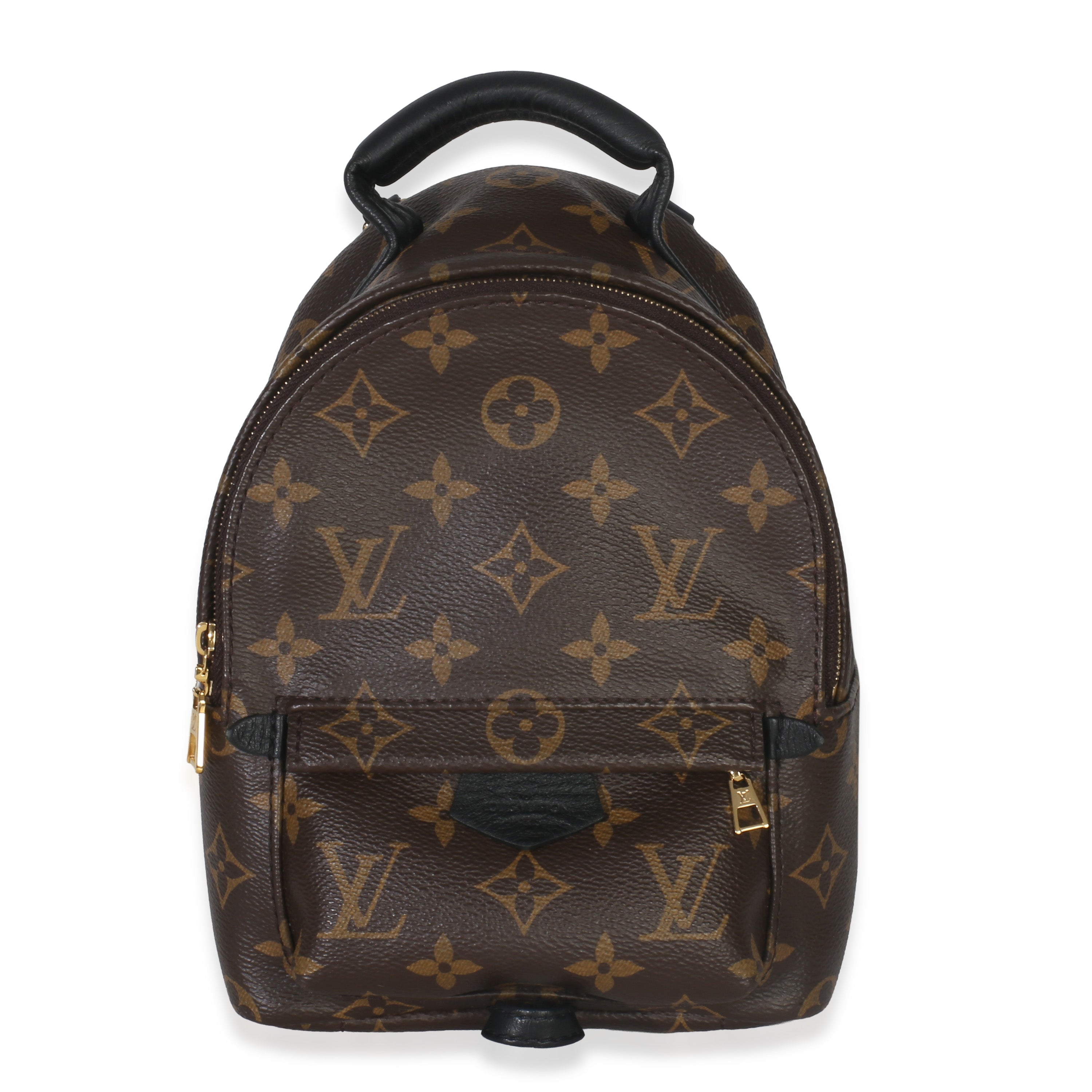 Louis Vuitton Monogram Canvas Mini Palm Springs