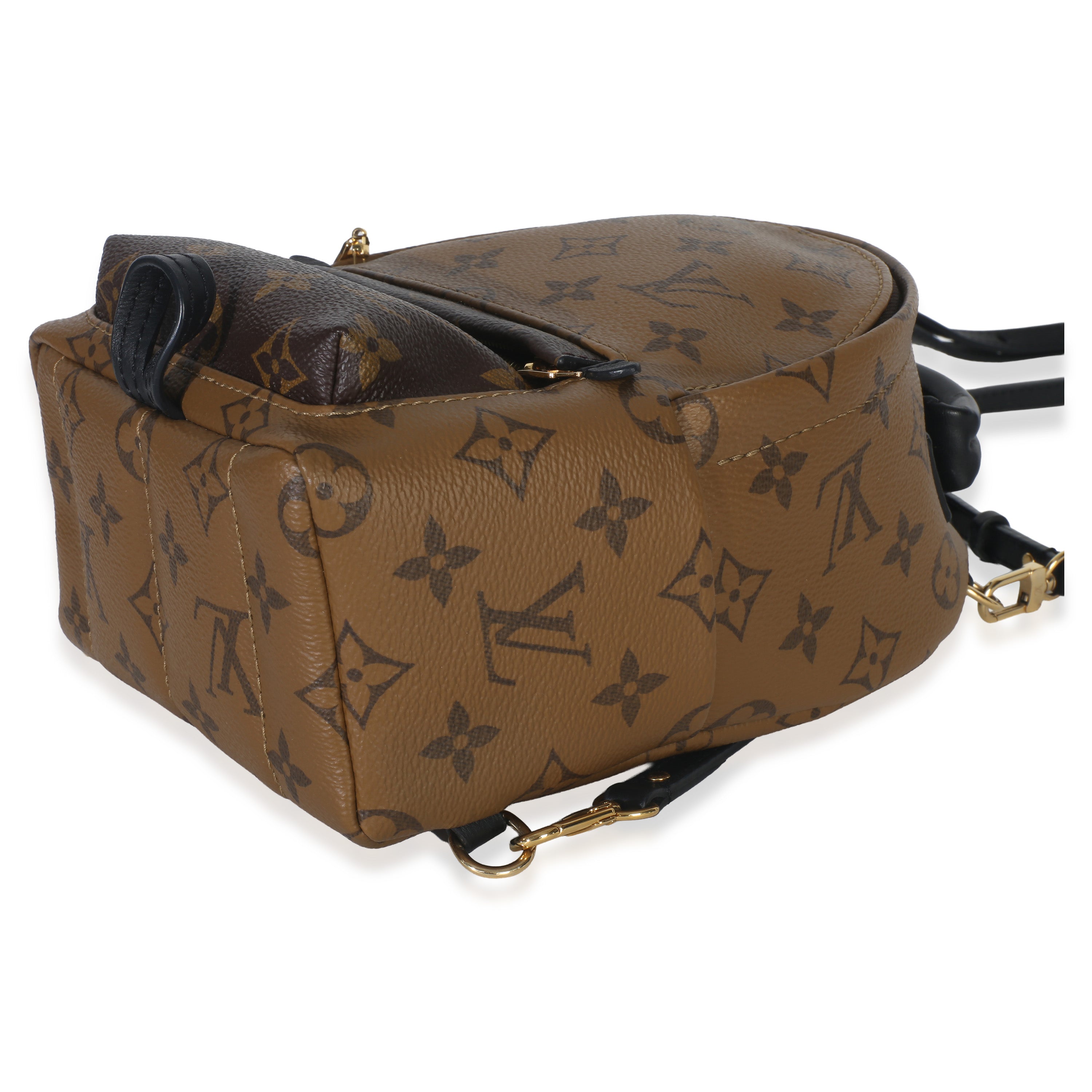 Louis Vuitton Canvas Reverse Monogram Mini Palm Springs