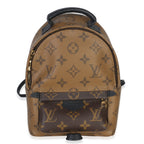 Louis Vuitton Canvas Reverse Monogram Mini Palm Springs
