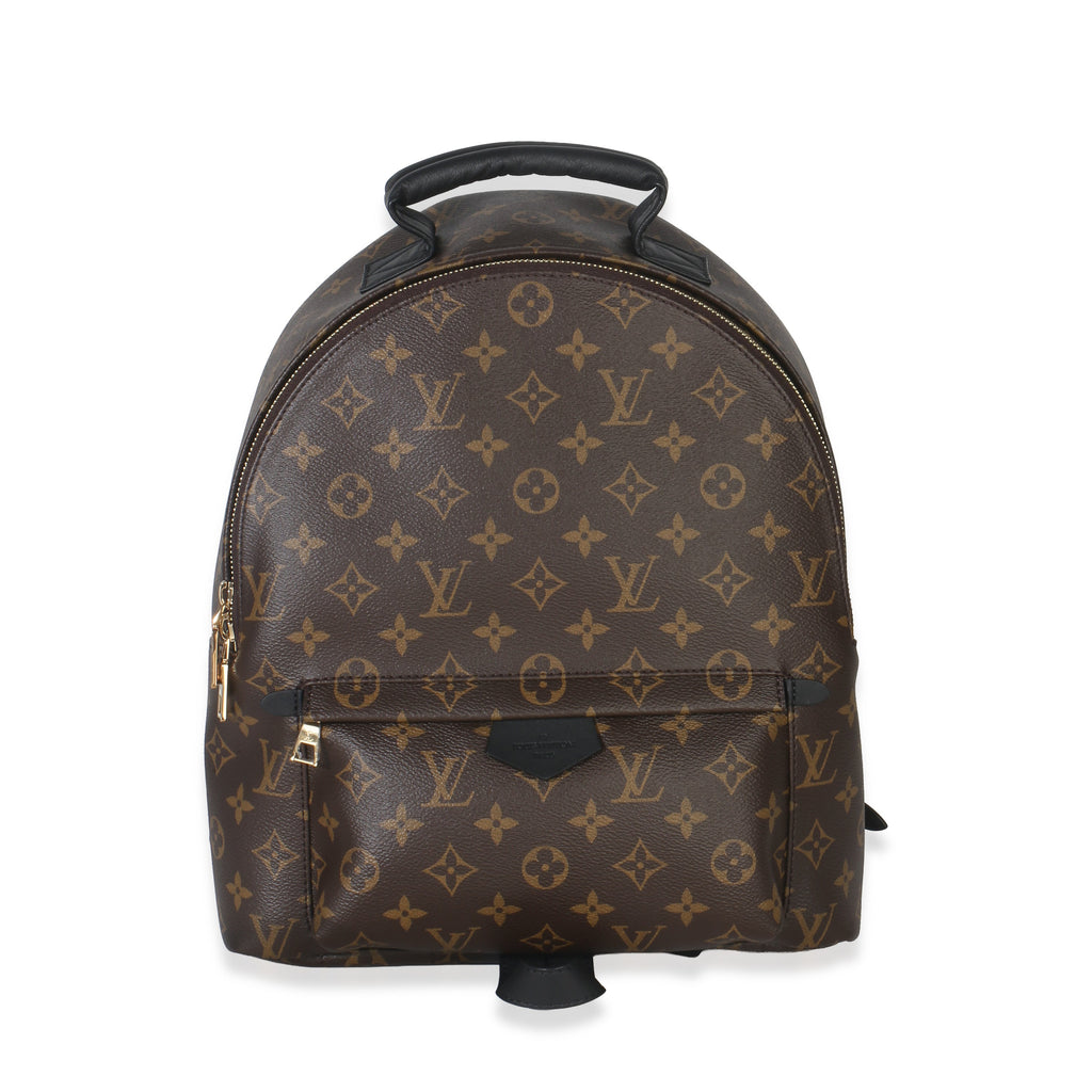 Louis Vuitton Monogram Canvas Palm Springs MM
