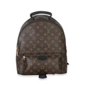 Louis Vuitton Monogram Canvas Palm Springs MM