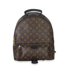 Louis Vuitton Monogram Canvas Palm Springs MM