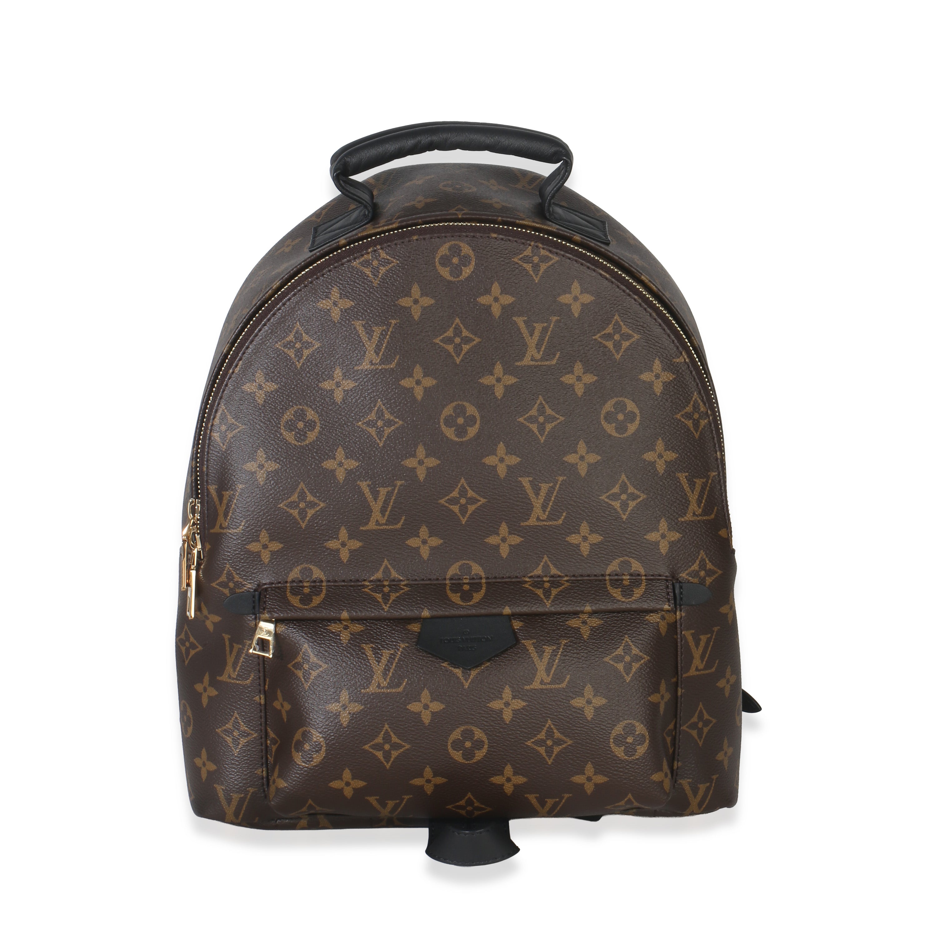 Louis Vuitton Monogram Canvas Palm Springs MM