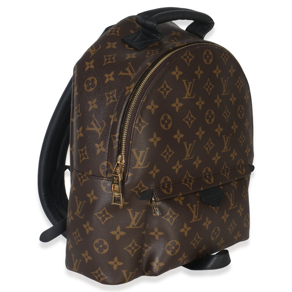 Louis Vuitton Monogram Canvas Palm Springs MM