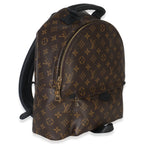 Louis Vuitton Monogram Canvas Palm Springs MM