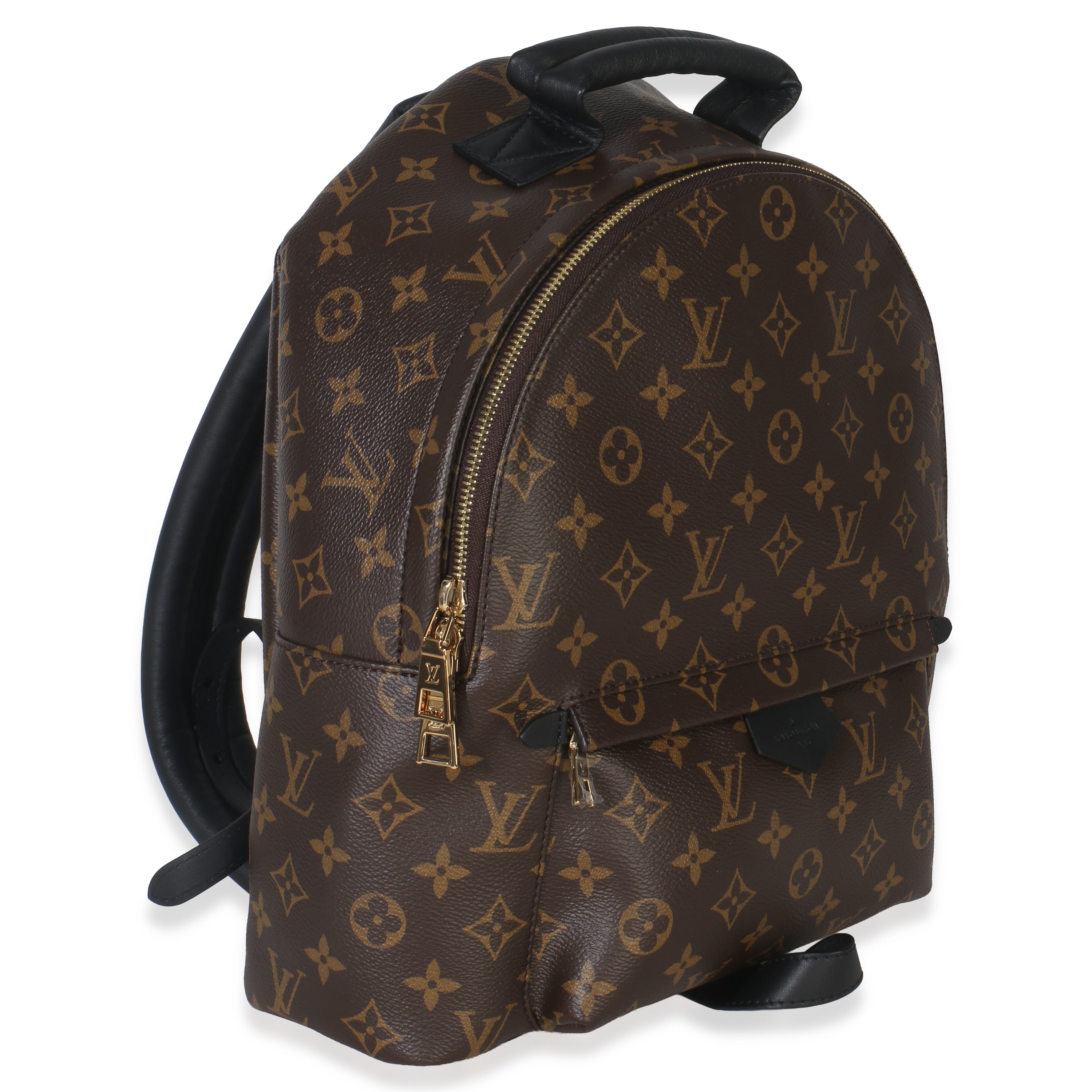 Louis Vuitton Monogram Canvas Palm Springs MM