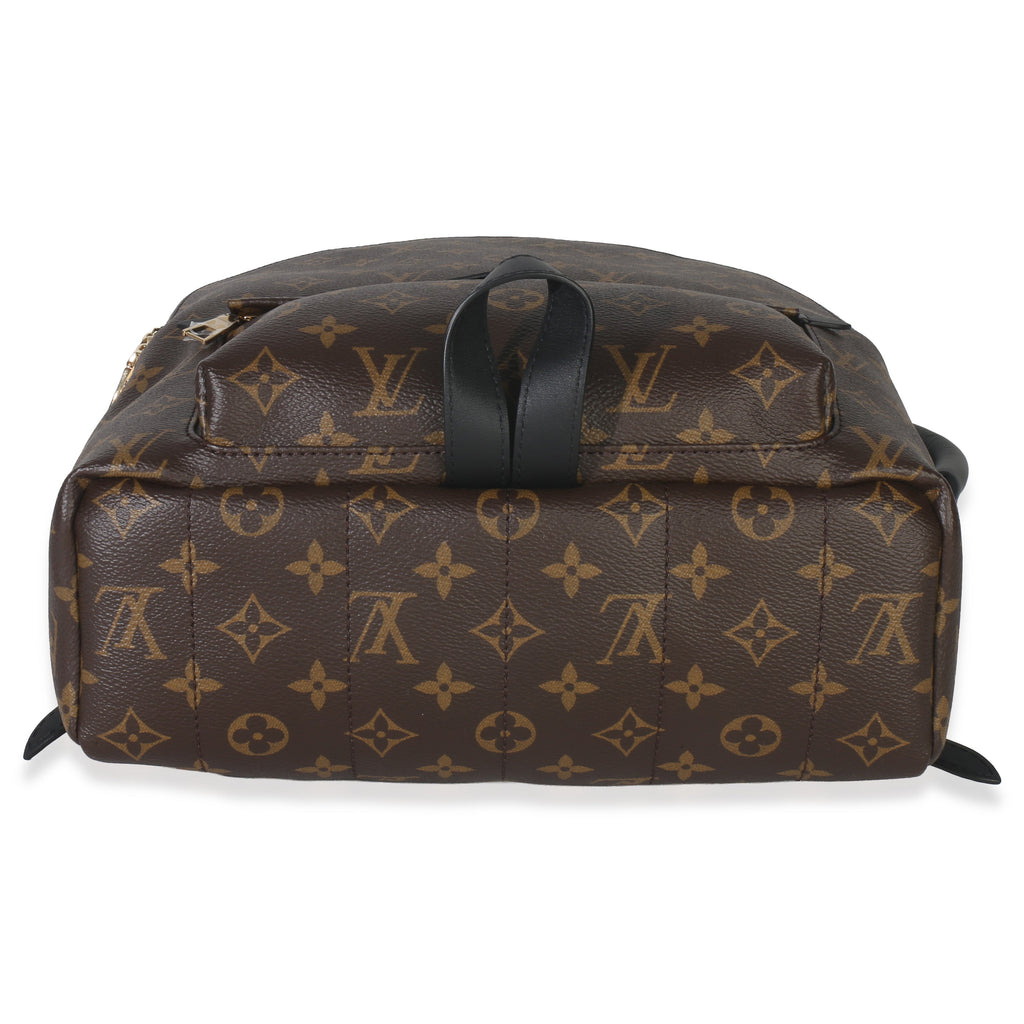 Louis Vuitton Monogram Canvas Palm Springs MM