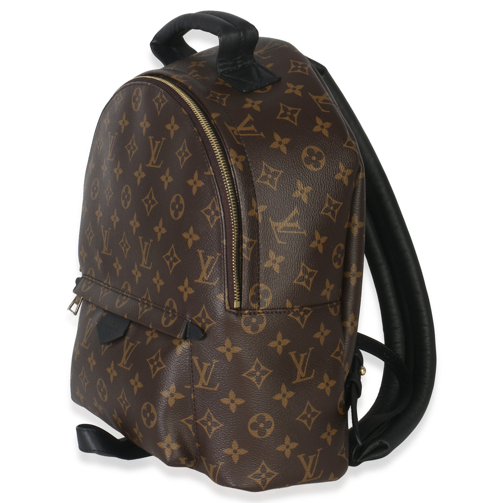 Louis Vuitton Monogram Canvas Palm Springs MM