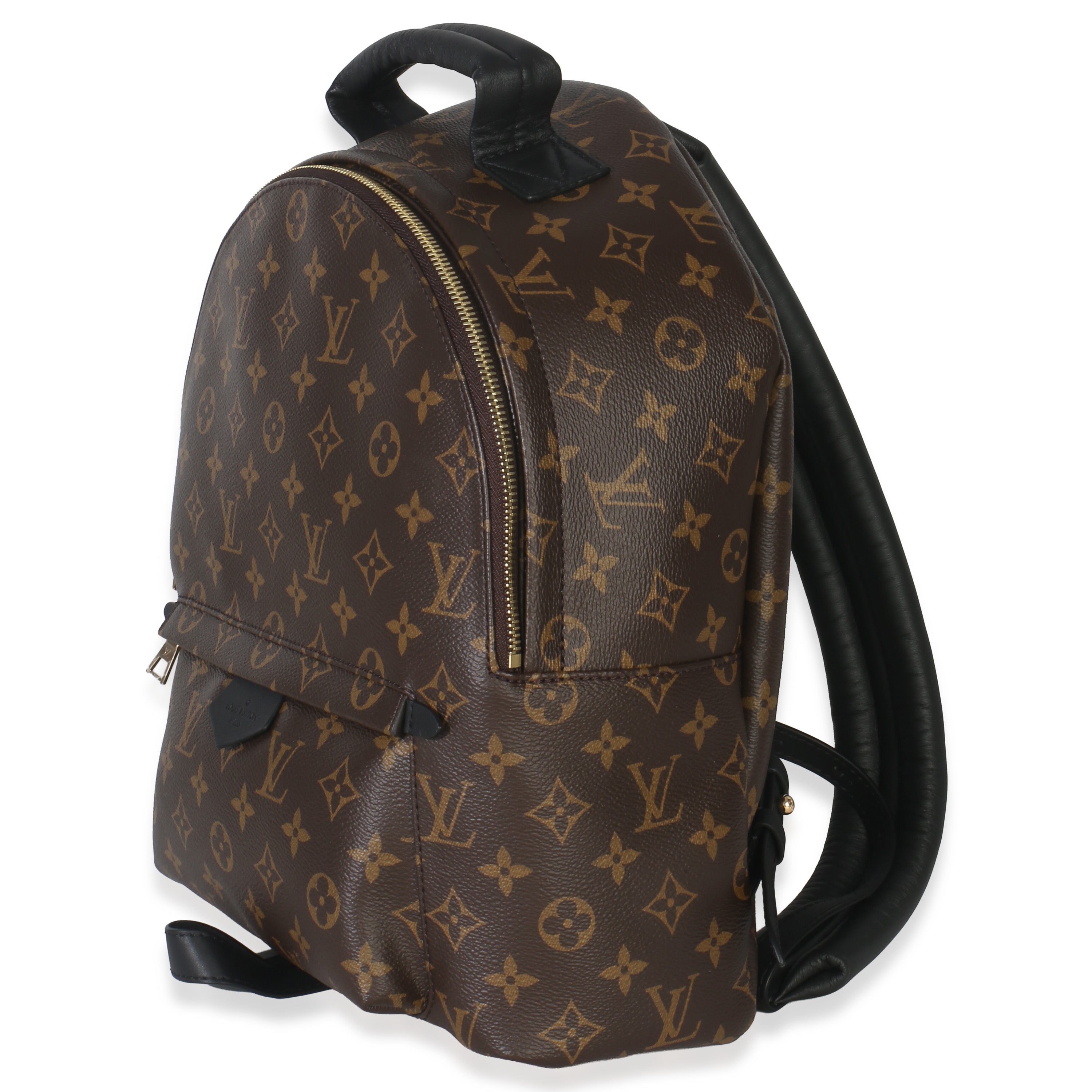 Louis Vuitton Monogram Canvas Palm Springs MM