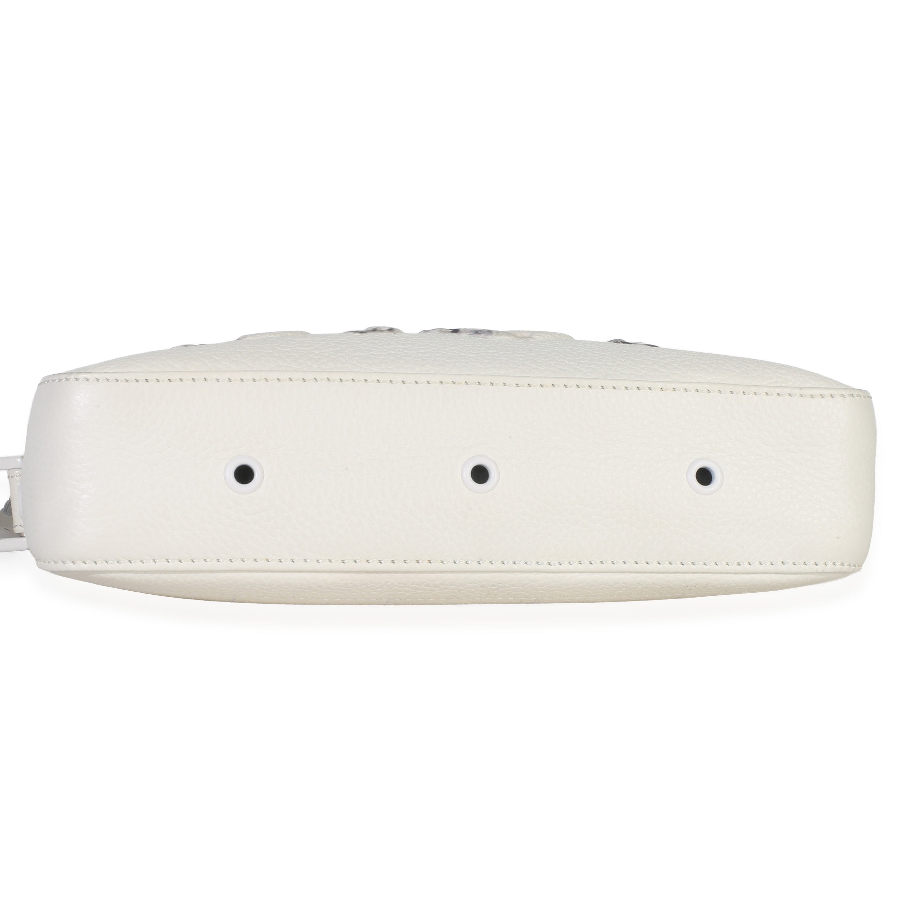 Christian Dior X DANIEL ARSHAM White Grained Calfskin Safari Messenger