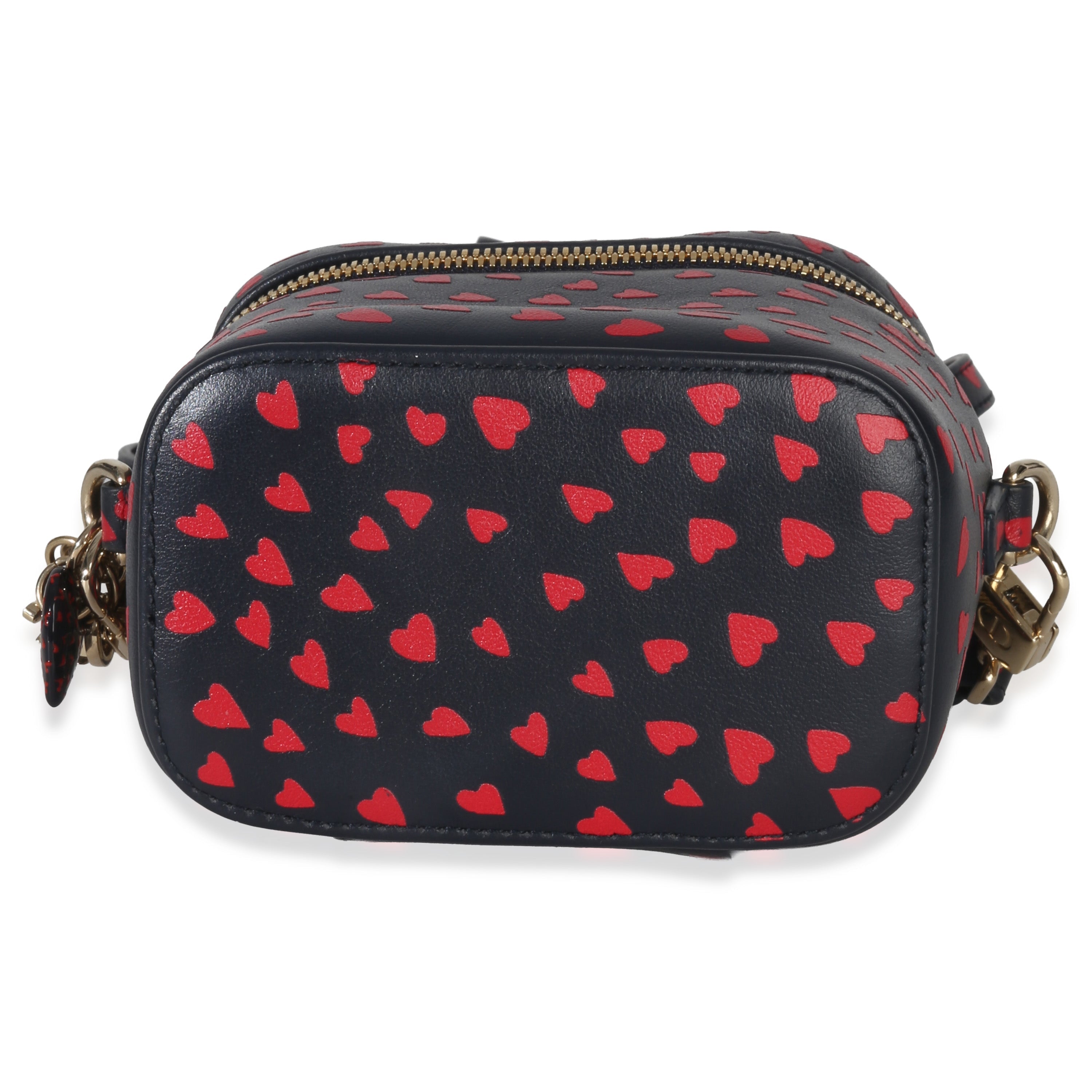 Christian Dior Blue Red Dioramour DiorTravel Micro Vanity Case