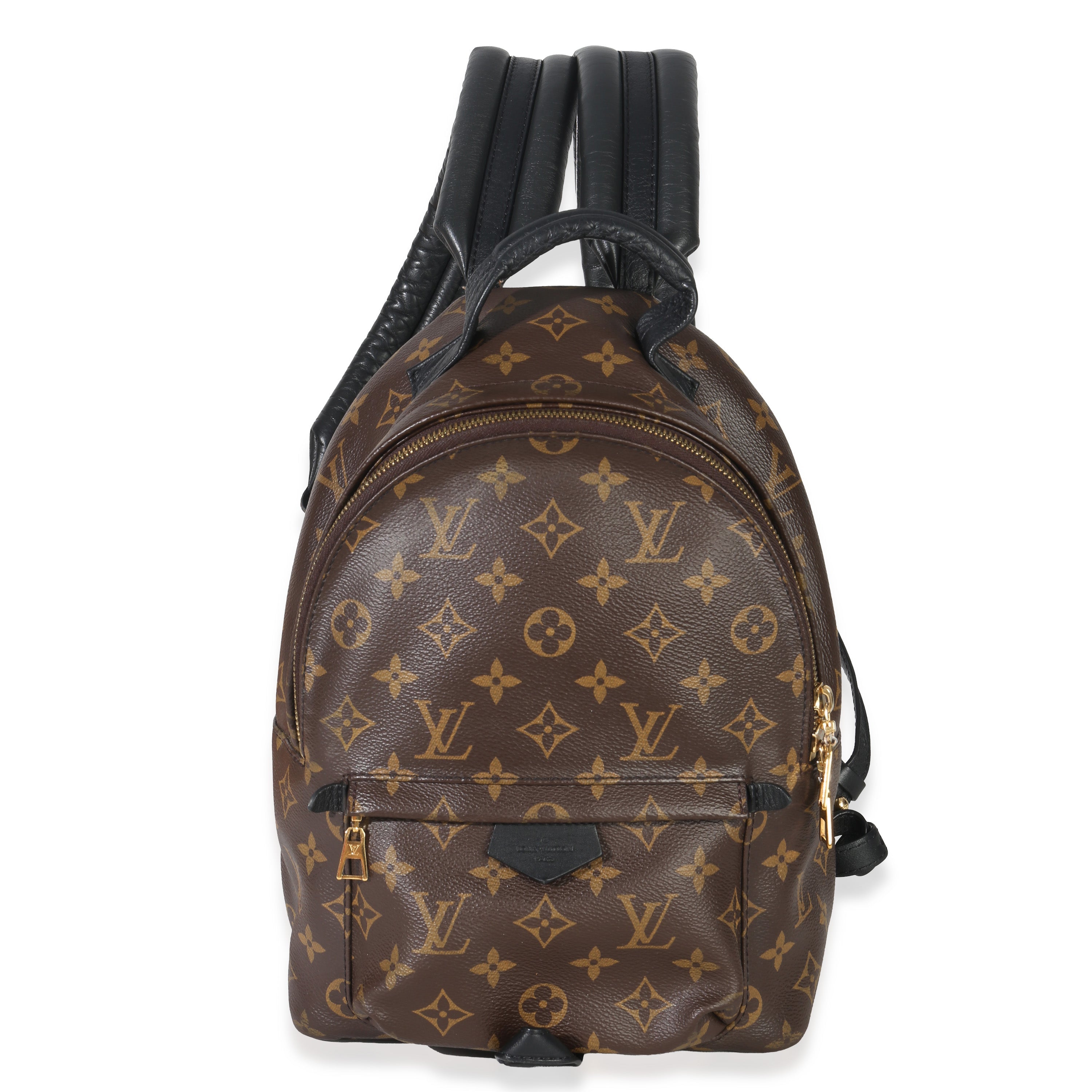 Louis Vuitton Reverse Monogram Canvas Palm Springs PM