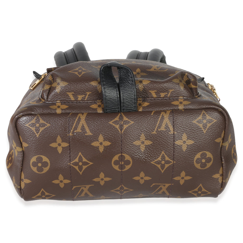 Louis Vuitton Reverse Monogram Canvas Palm Springs PM
