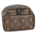 Louis Vuitton Monogram Canvas Mini Palm Springs