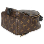 Louis Vuitton Monogram Canvas Mini Palm Springs