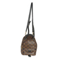 Louis Vuitton Monogram Canvas Mini Palm Springs