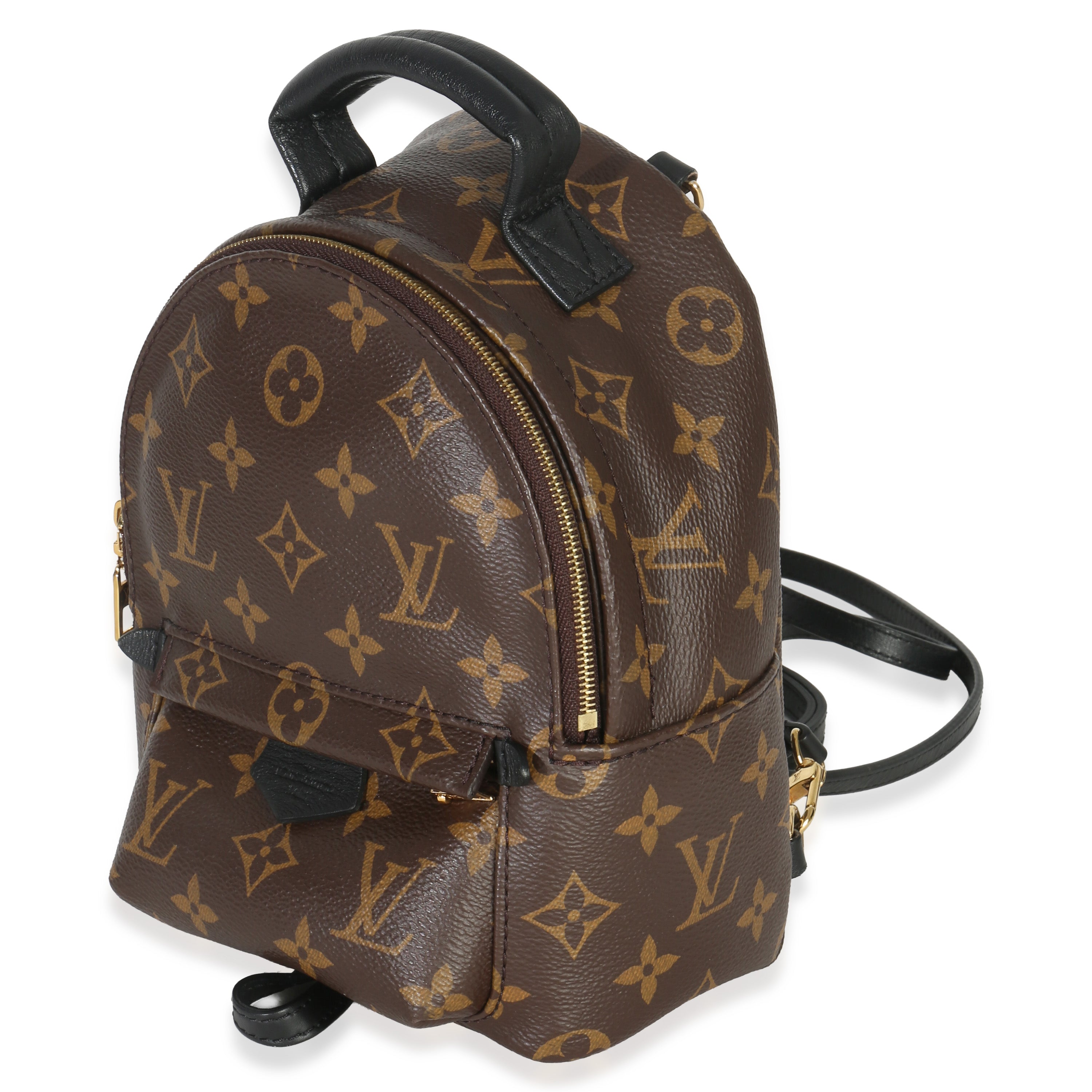 Louis Vuitton Monogram Canvas Mini Palm Springs