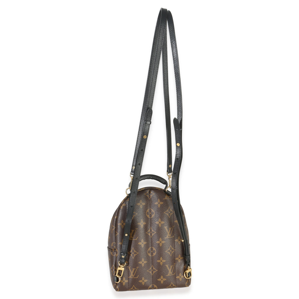 Louis Vuitton Monogram Canvas Mini Palm Springs