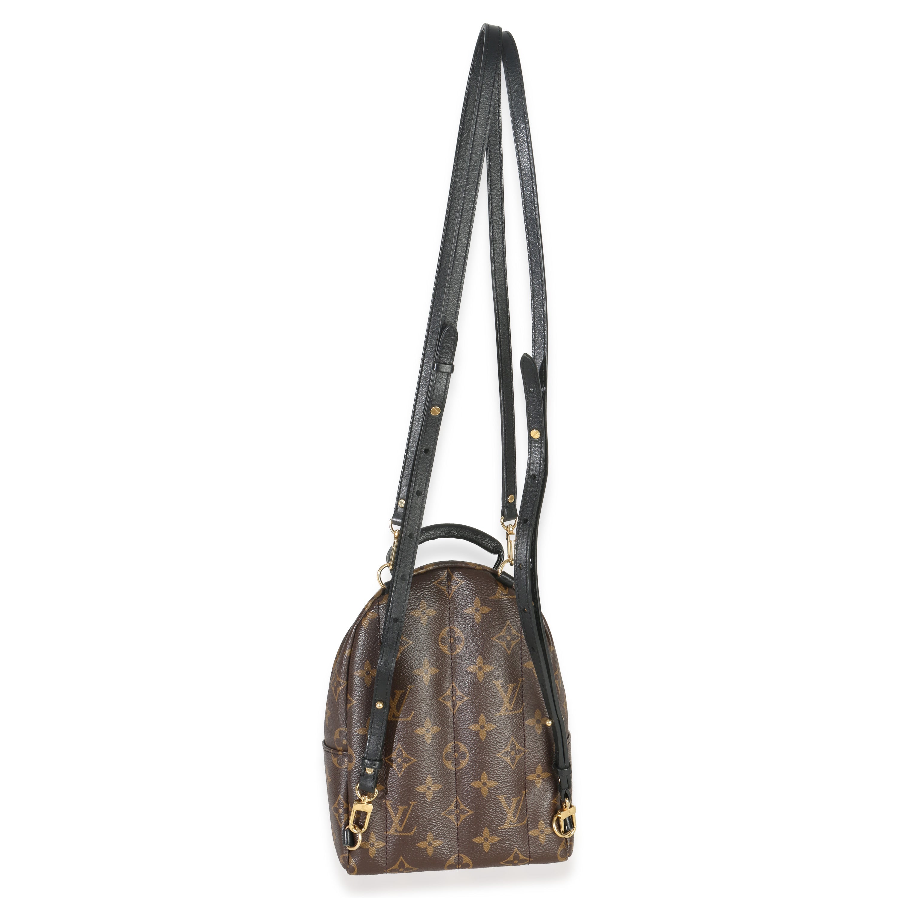 Louis Vuitton Monogram Canvas Mini Palm Springs