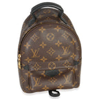 Louis Vuitton Monogram Canvas Mini Palm Springs