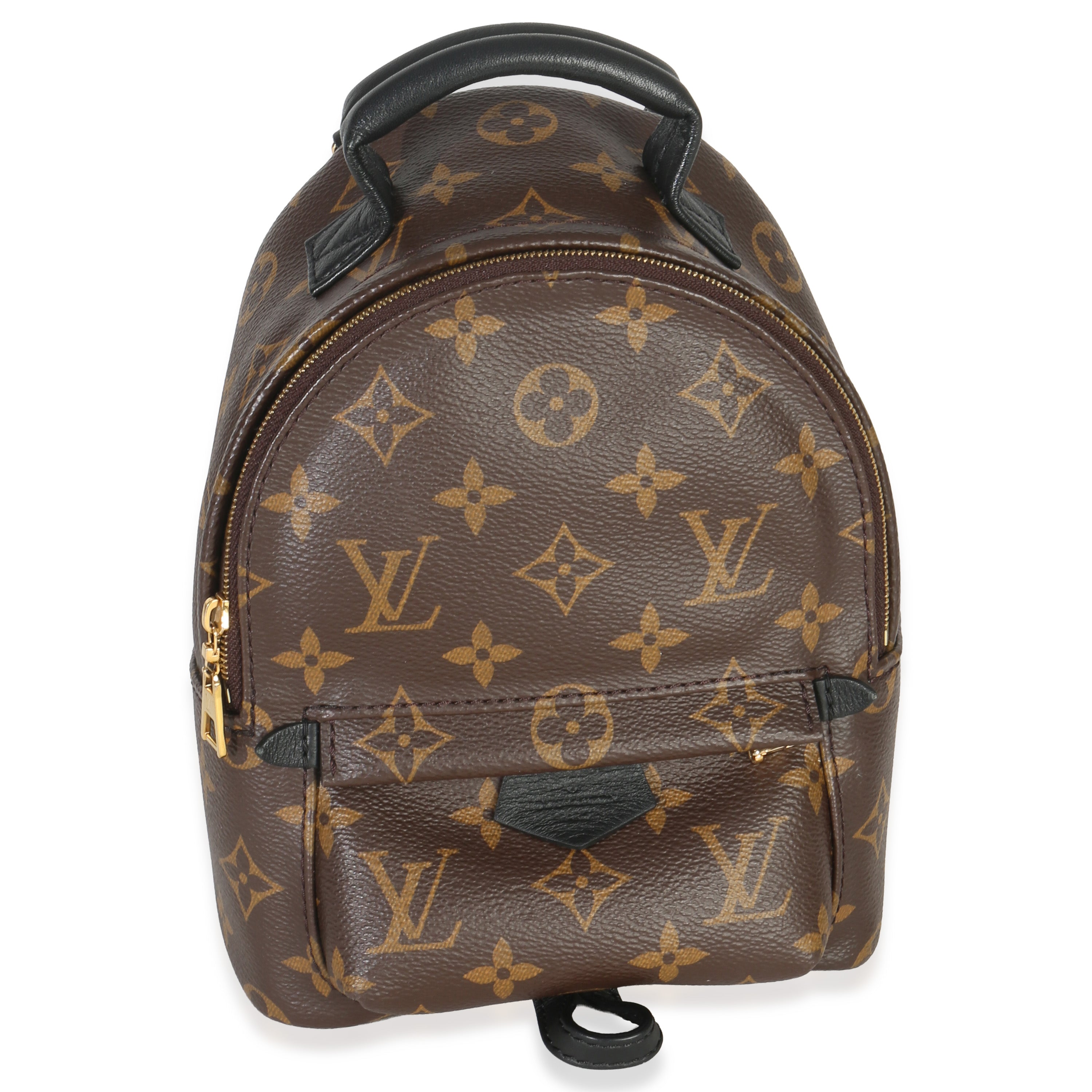 Louis Vuitton Monogram Canvas Mini Palm Springs