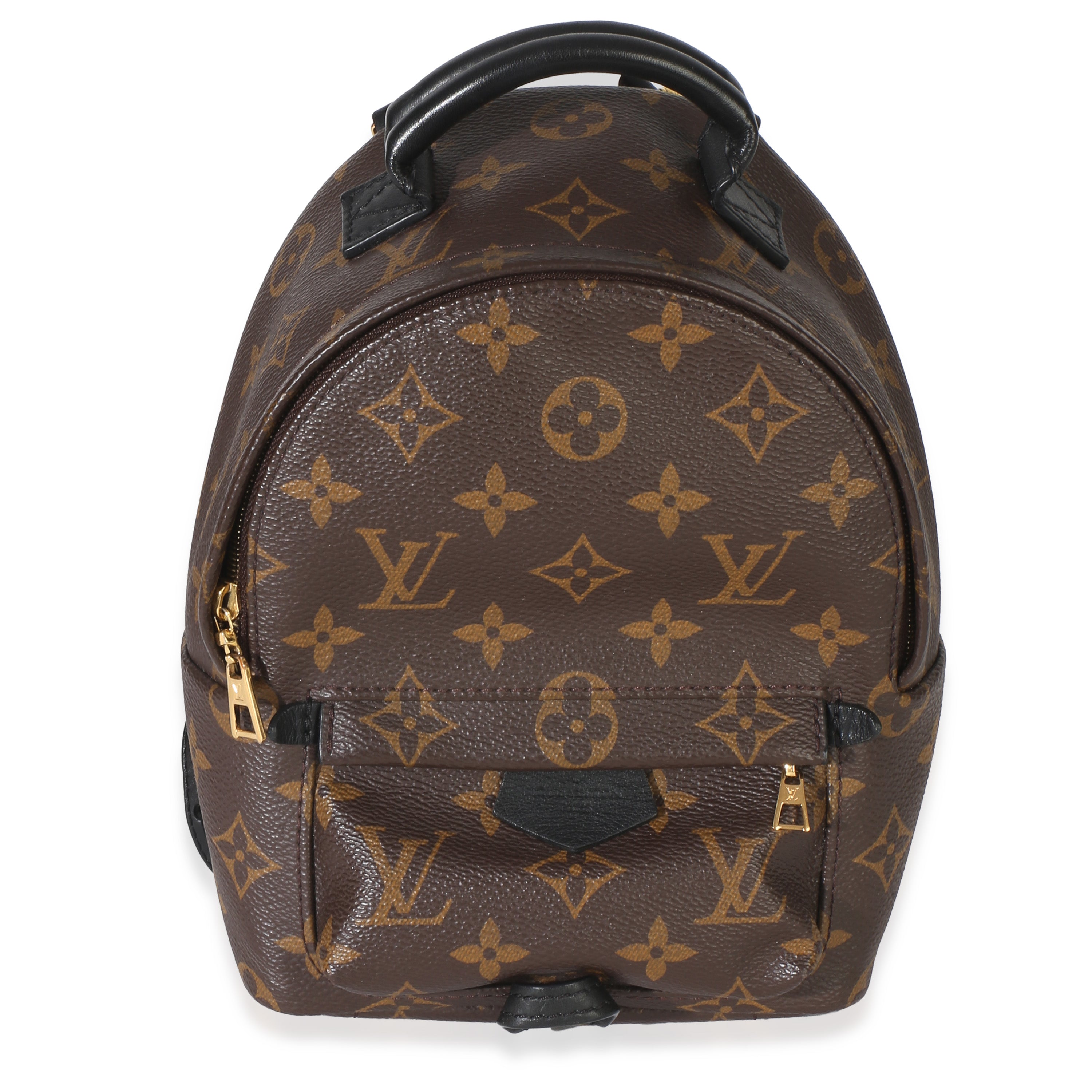 Louis Vuitton Monogram Canvas Mini Palm Springs