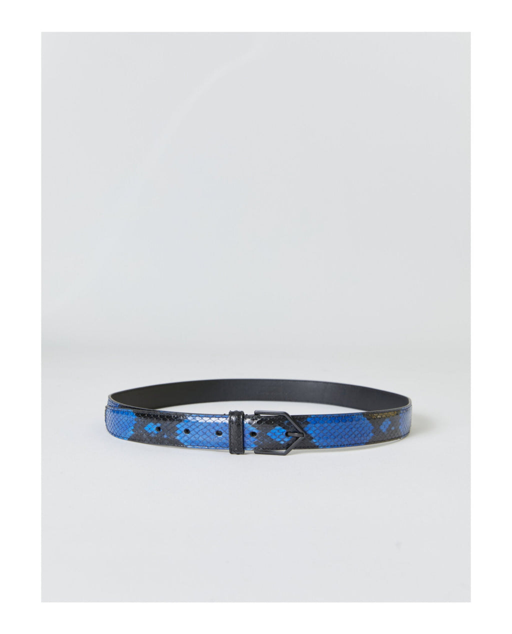 Saint Laurent Womens Python Black and Blue Belt