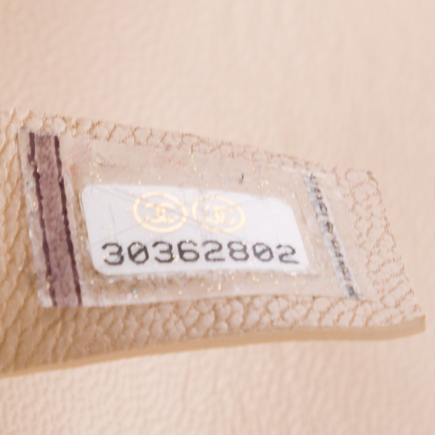 Chanel 19 Flap Bag - Maxi