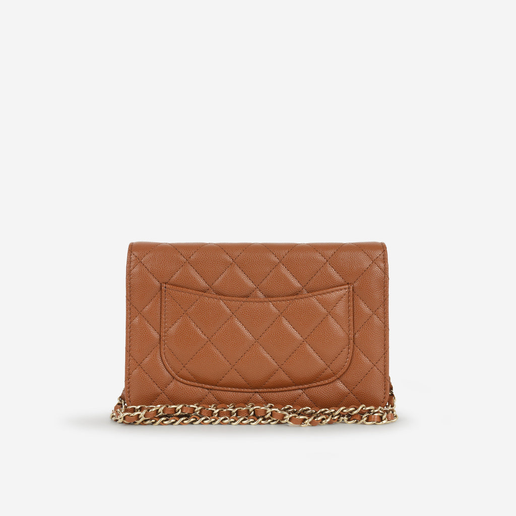 Chanel Seasonal Strass WOC