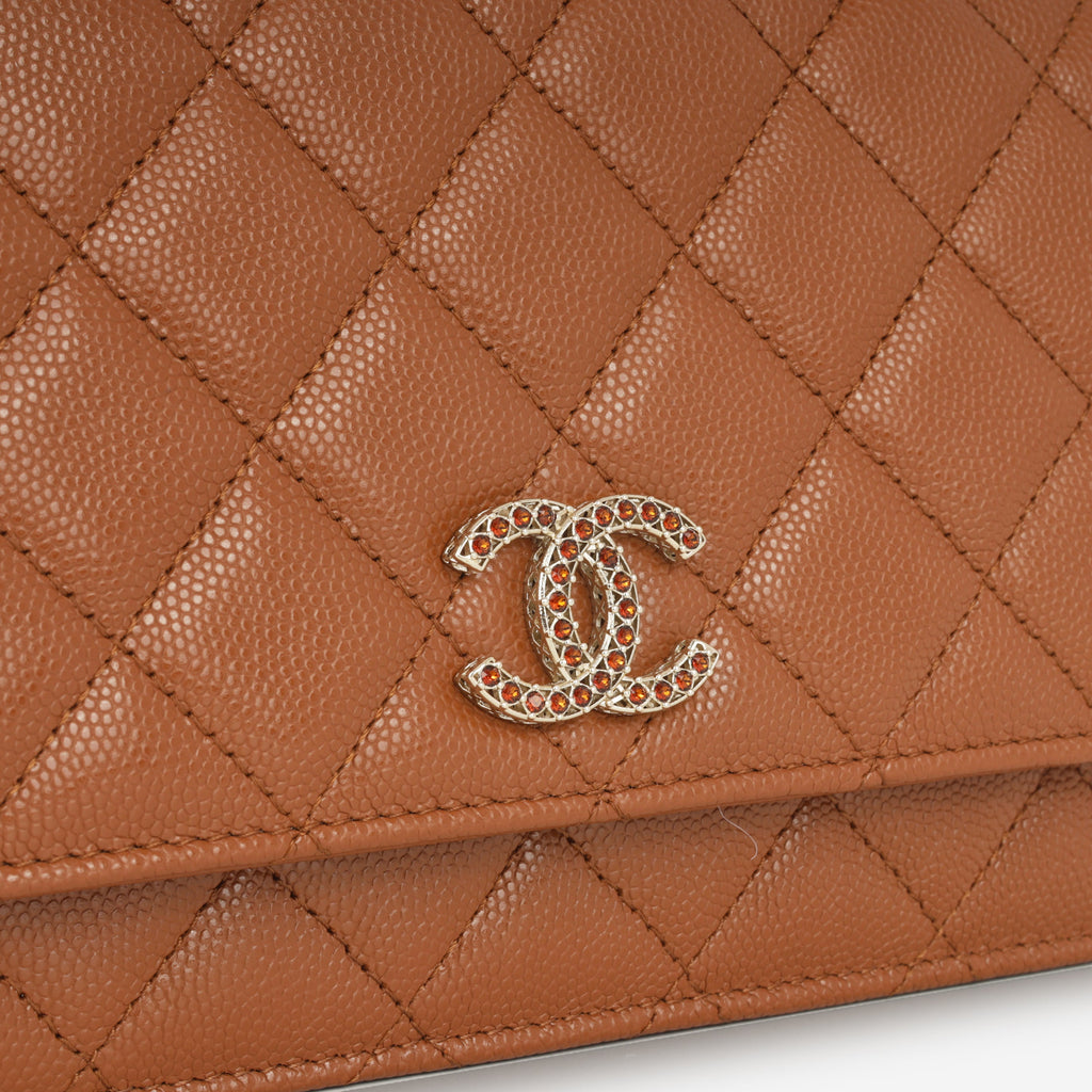 Chanel Seasonal Strass WOC