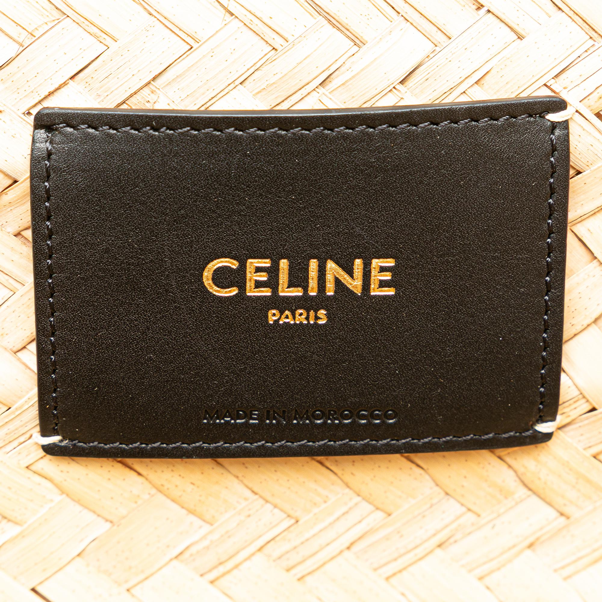 Celine Andre Butzer Large Raffia Classic Wanderer Embroidered Shopping Tote
