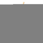 Celine C Macadam Canvas Shoulder Bag