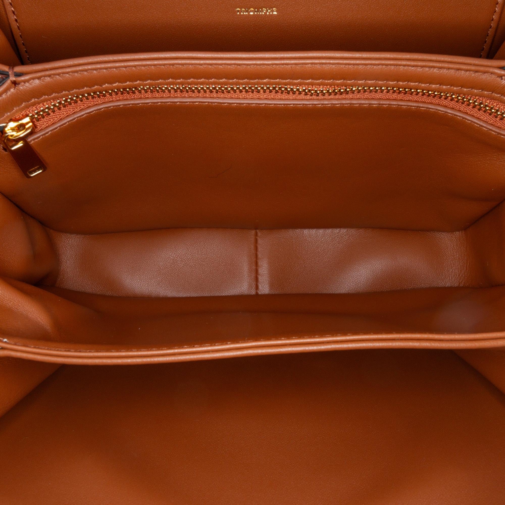Celine Classique Shiny Calfskin Triomphe Crossbody (SHG-tC2vNF)