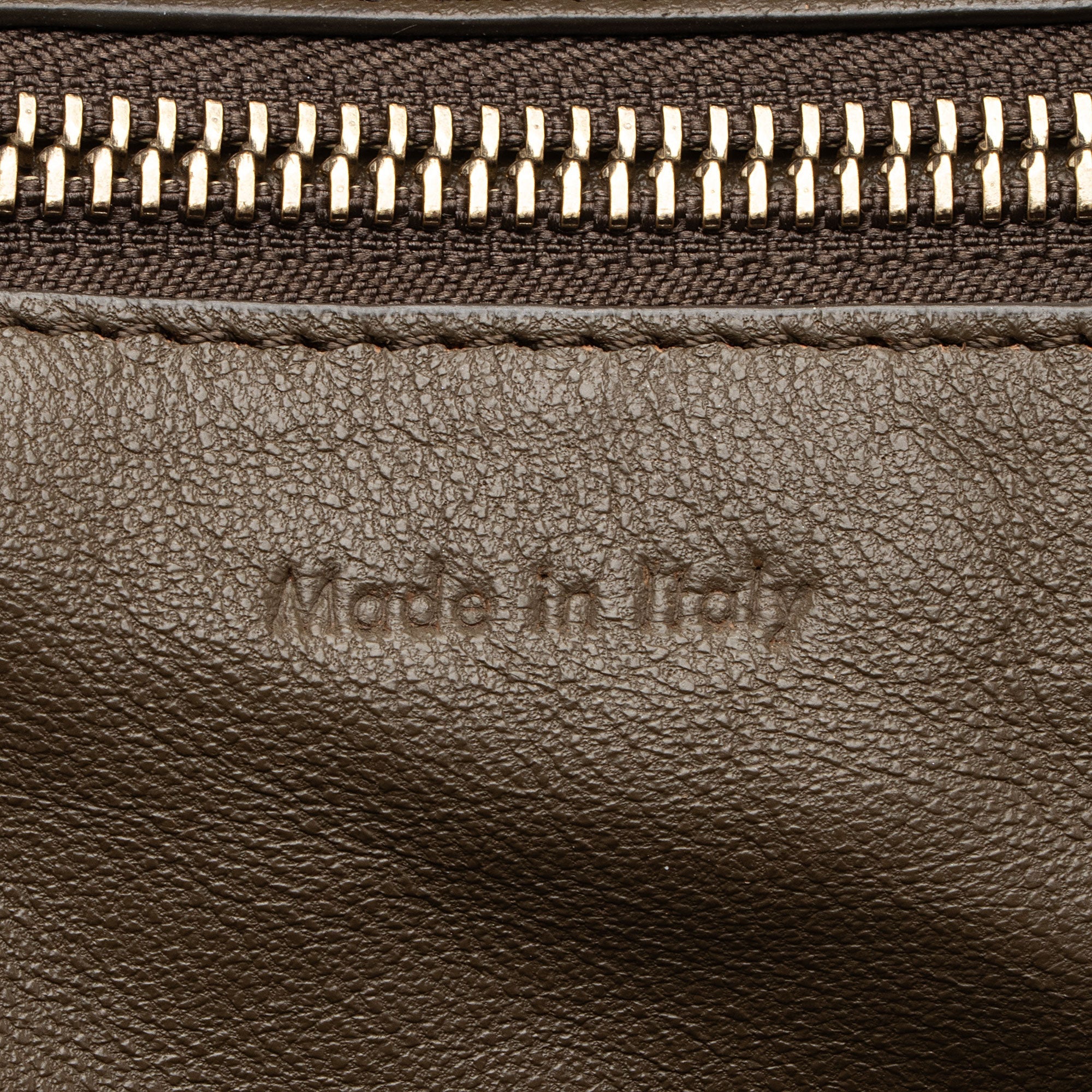 Celine Drummed Calfskin Mini Luggage Tote (SHF-20CRG5)