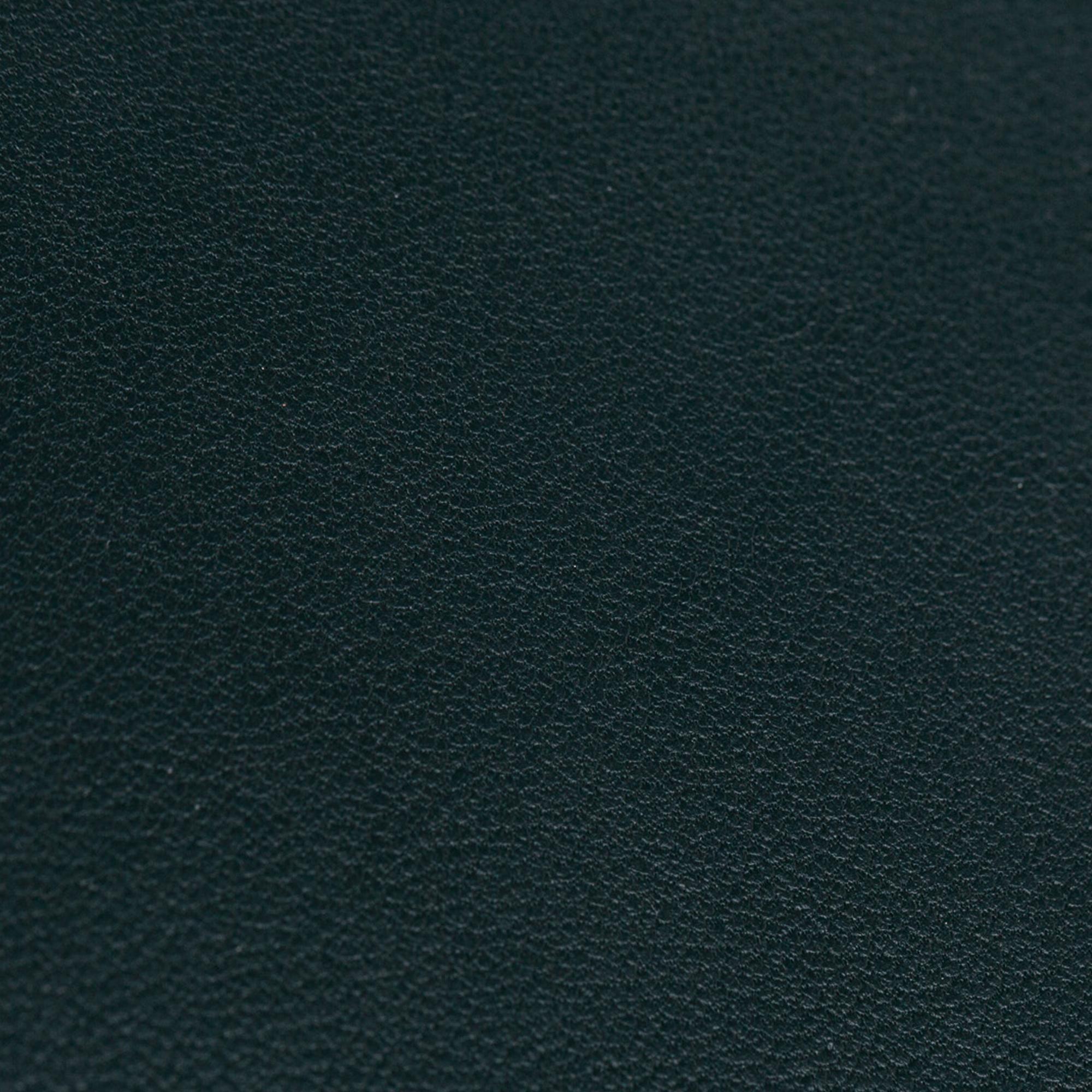 Celine Frame Leather Wallet On Chain (SHG-23361)