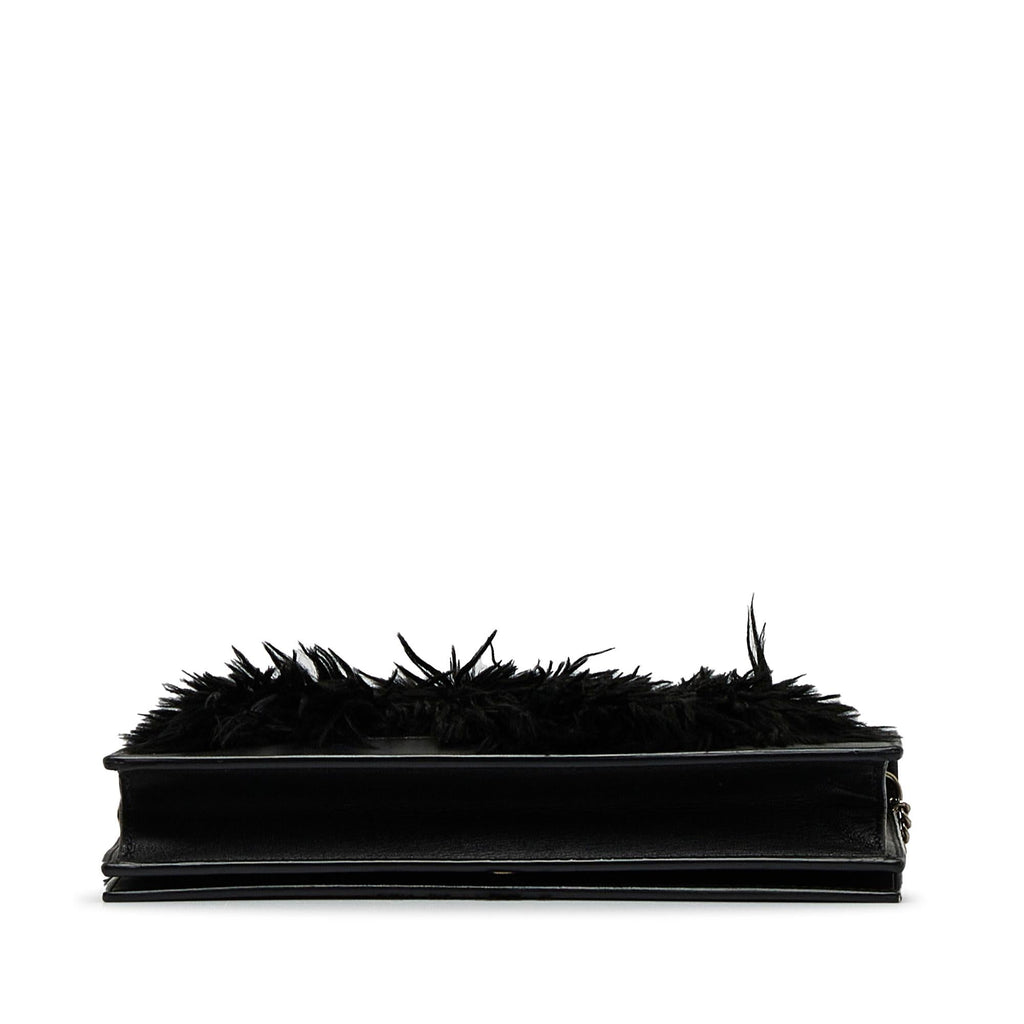 Celine Fur-Trim Frame Crossbody Bag (SHG-4w5ZVs)