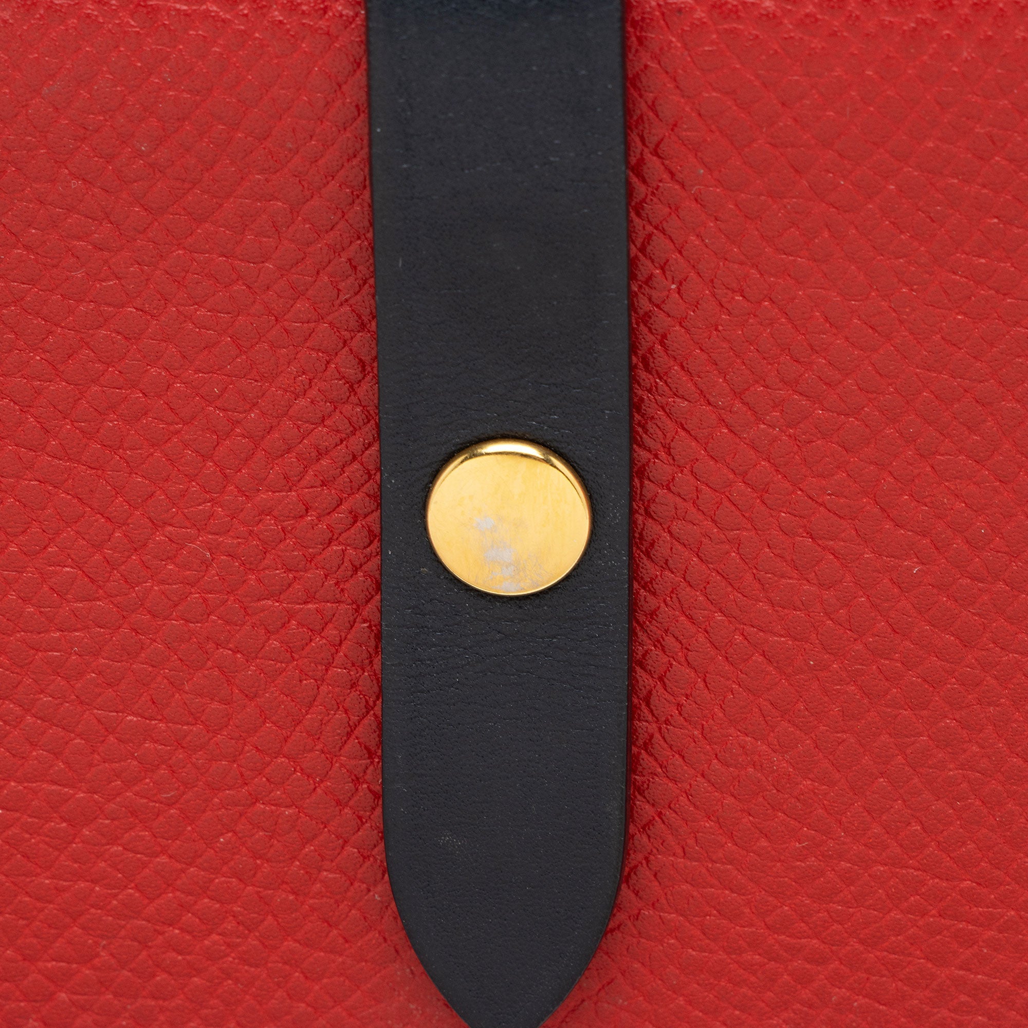 Celine Grained Calfskin Strap Multifunction Medium Wallet