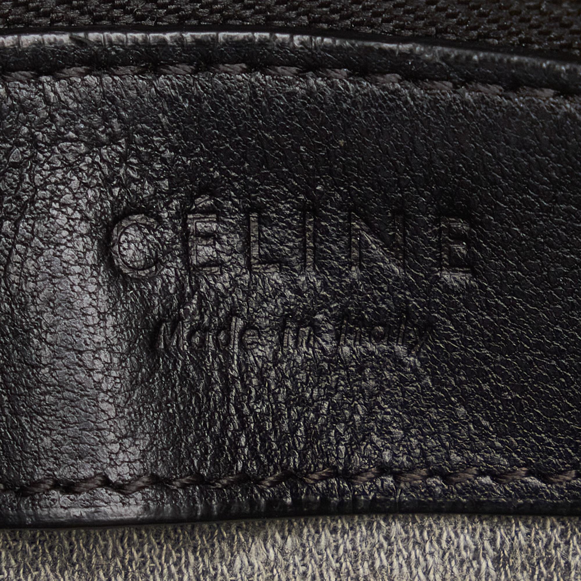 Celine Large Trio Crossbody Bag (SHG-UBwOHn)