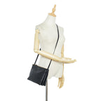 Celine Large Trio Crossbody (SHG-tTFi4V)
