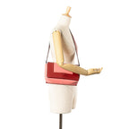 Celine Leather Frame Shoulder Bag