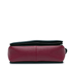 Celine Leather Frame Shoulder Bag