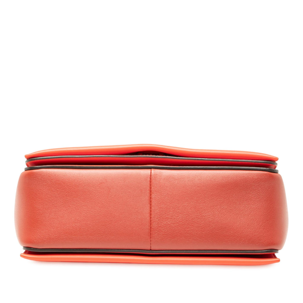 Celine Leather Frame Shoulder Bag