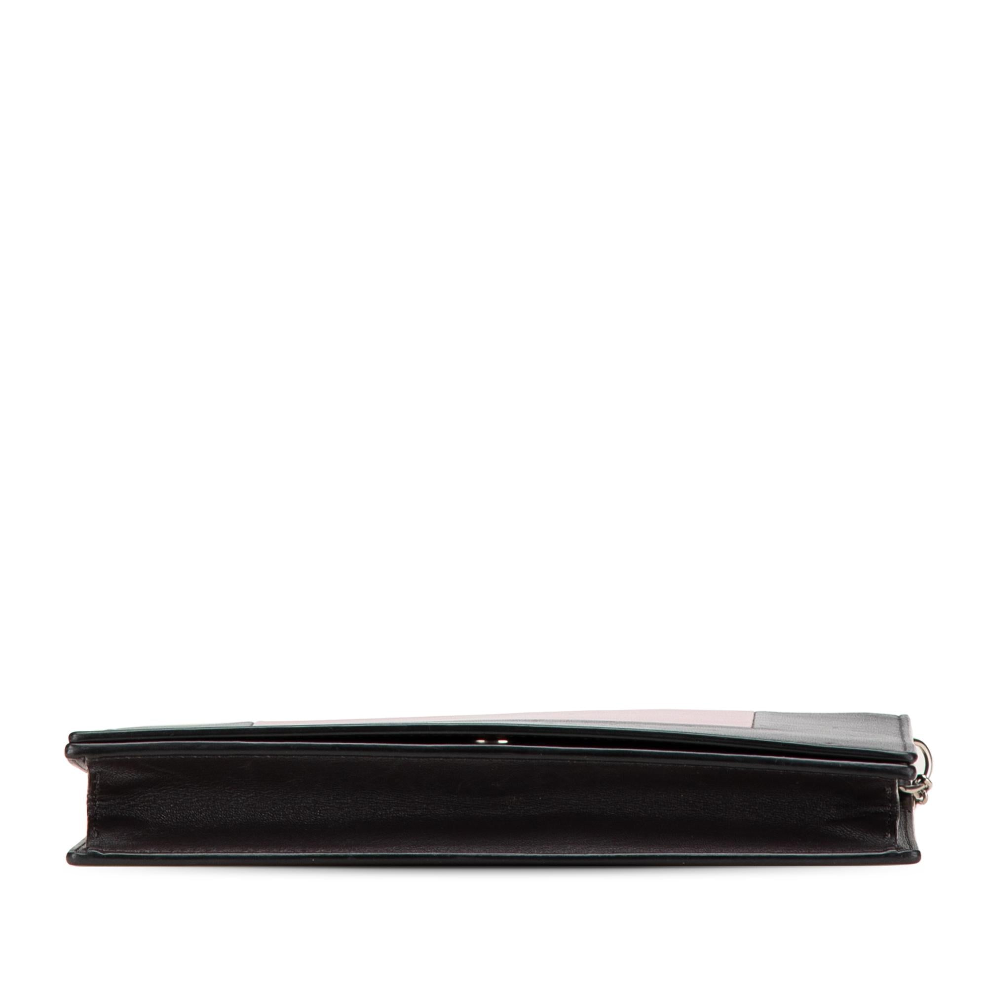 Celine Leather Frame Wallet on Chain